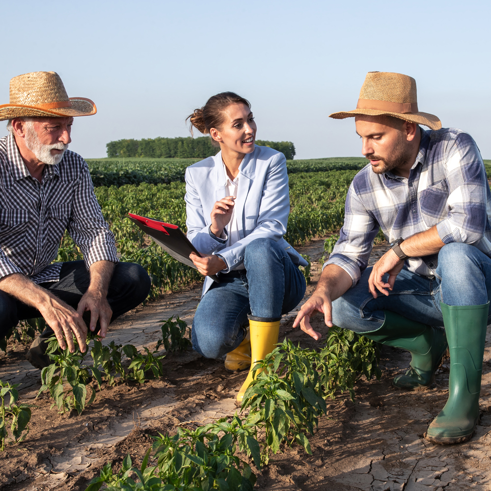 Crop Insurance Charlotte NC