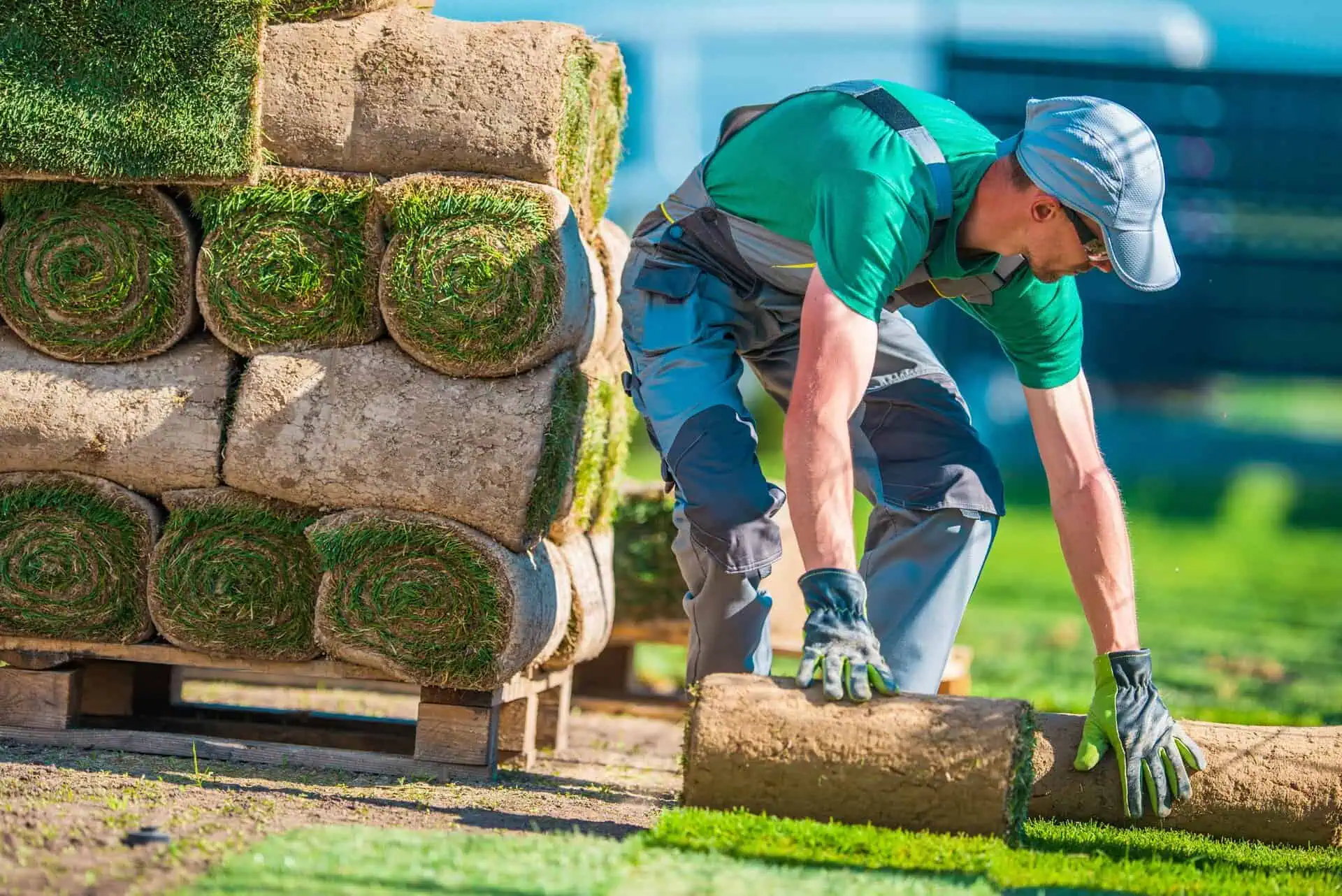 Landscaping Insurance North Carolina