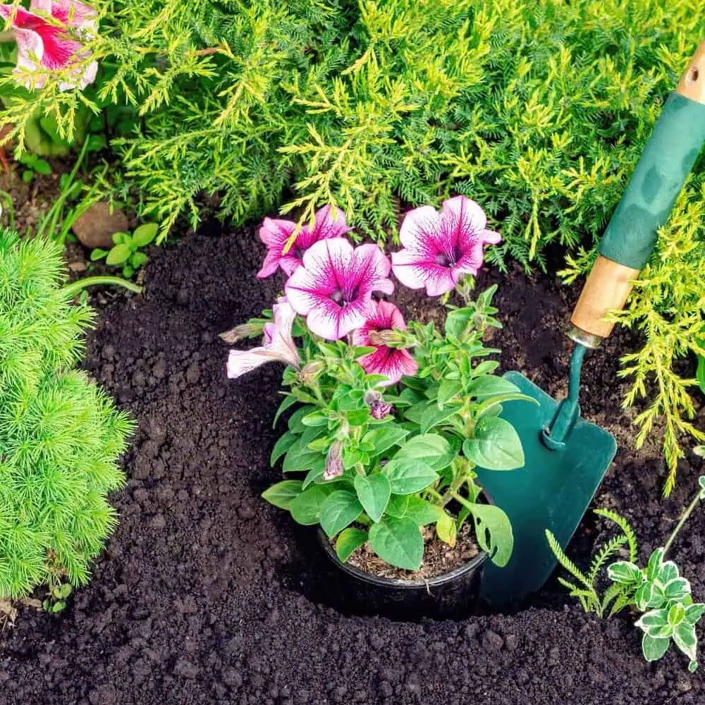 Landscaping Insurance North Carolina