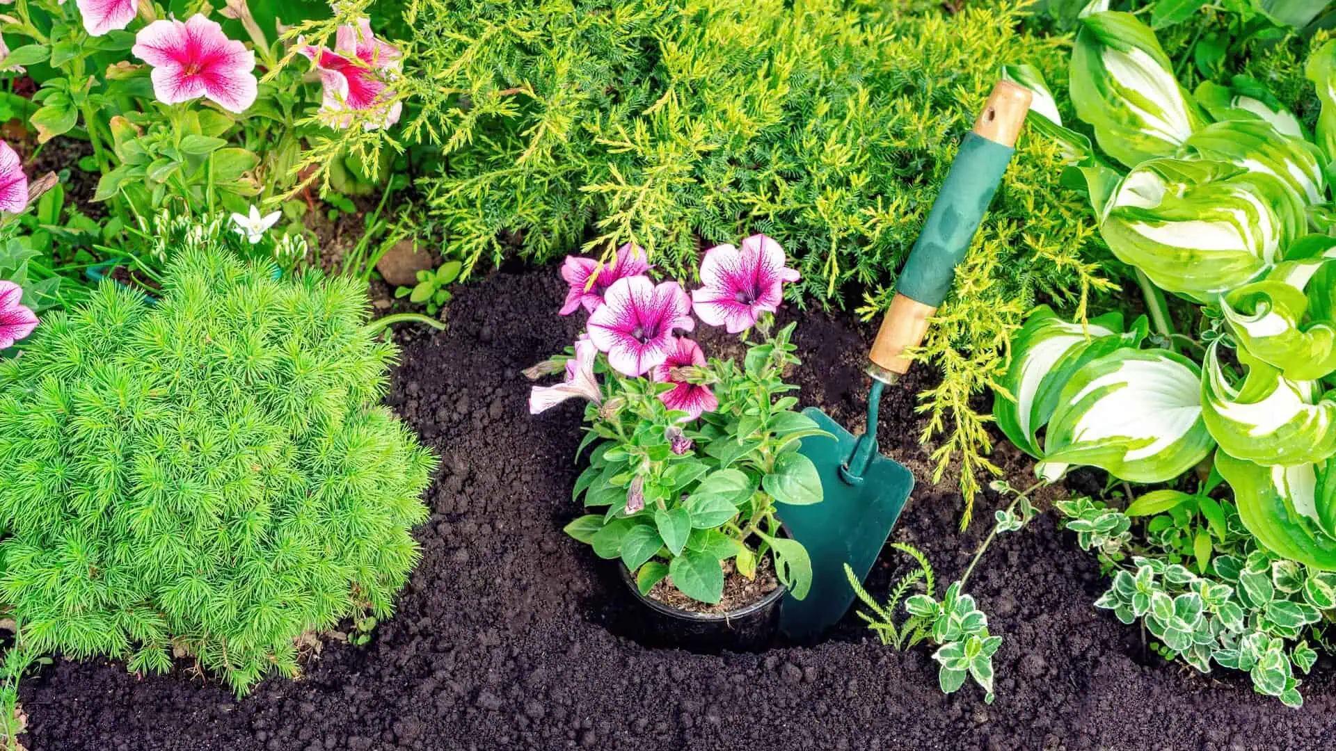 Landscaping Insurance North Carolina