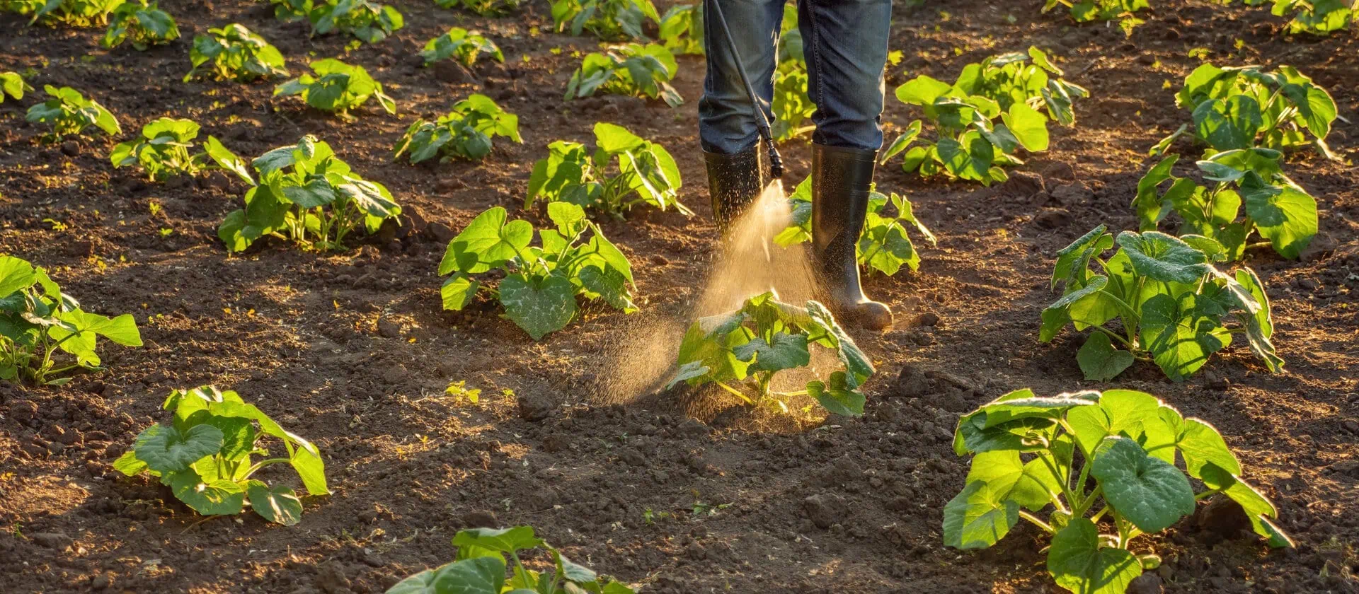 Crop Insurance North Carolina